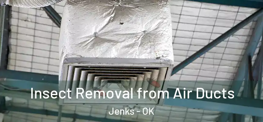  Insect Removal from Air Ducts Jenks - OK