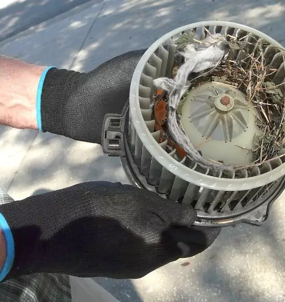 About Air Duct Mice Removal in Jenks, OK