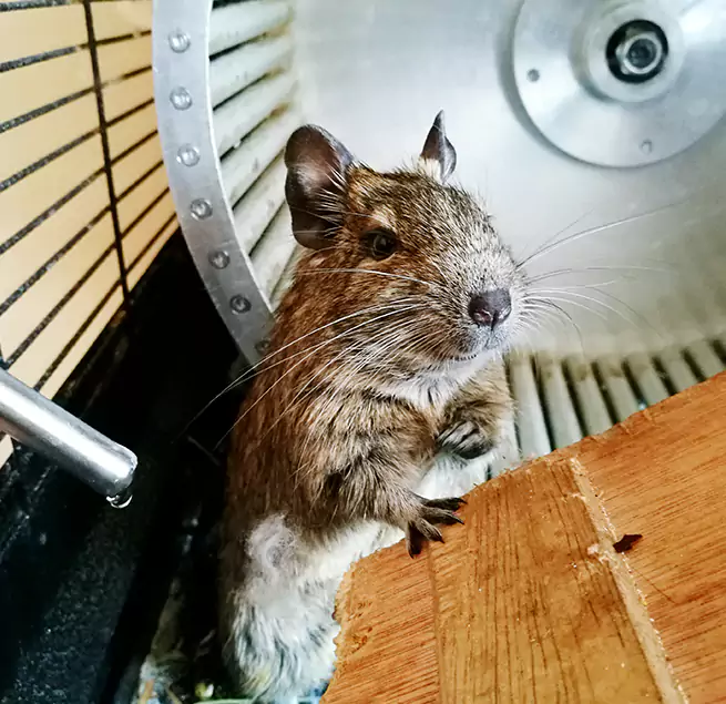 Why Homeowners & Businesses Trust Us Jenks, OK