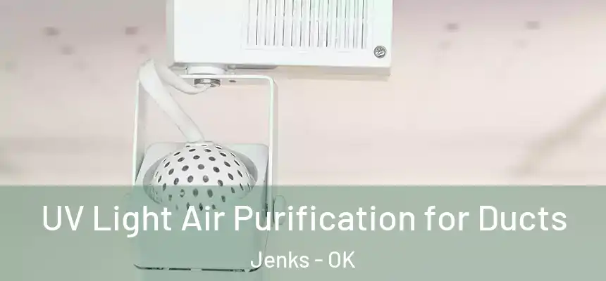  UV Light Air Purification for Ducts Jenks - OK
